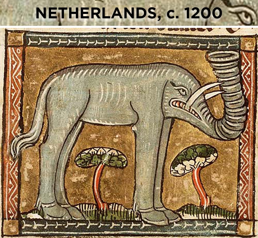 elephant-dessin-europe-vieux-04