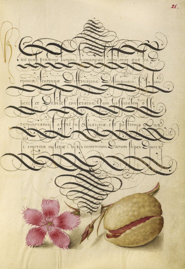 Mira-calligraphiae-monumenta-20