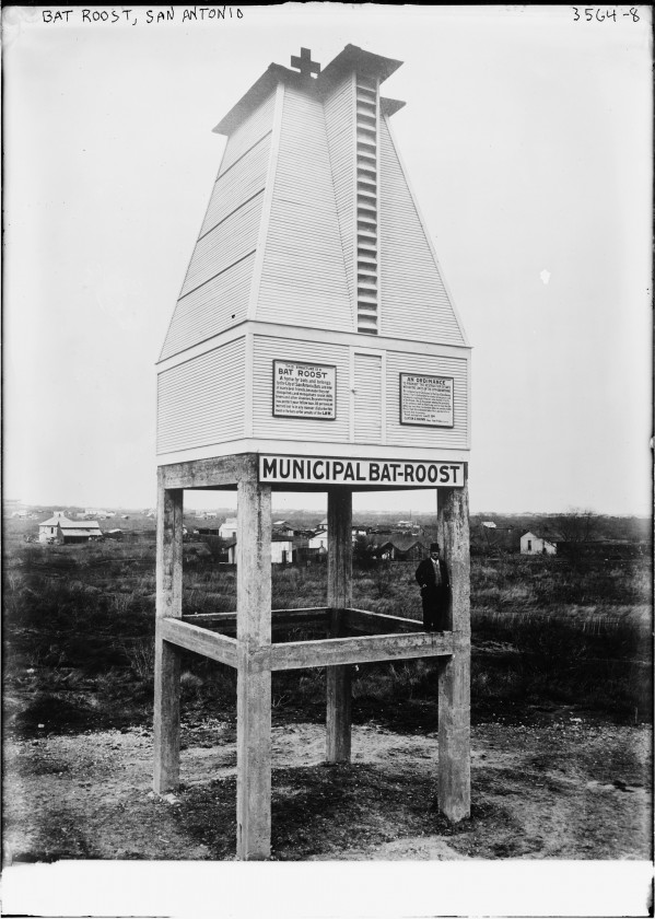 La Batcave municipale de San Antonio en 1914