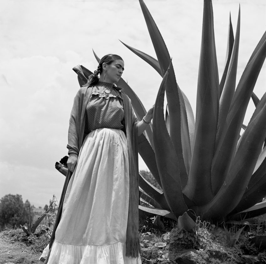frida-kahlo-mexique-toni-frissel-cactus-02