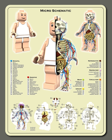 Anatomie des Legos et des bonbons nounours