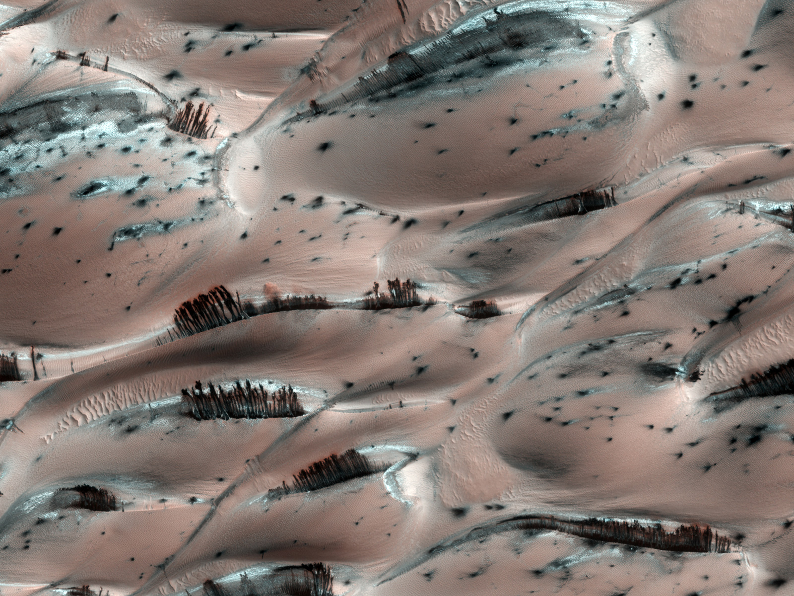 Dunes proches du pôle nord de Mars