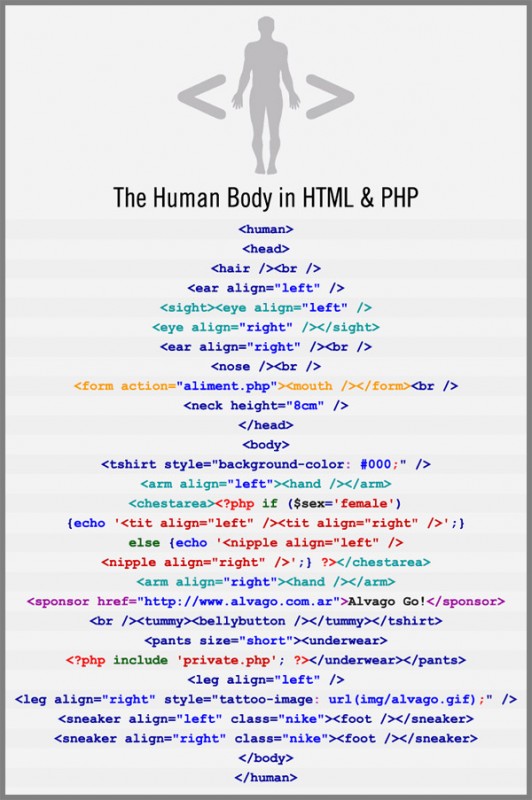 Le corps humain en html et php