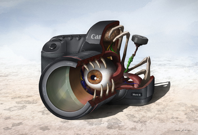 L&rsquo;intérieur du Canon 5D Mk 2