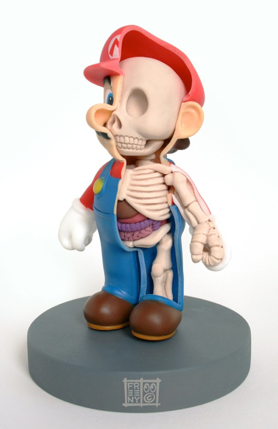 L’anatomie de Mario