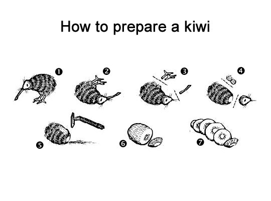 Préparer un kiwi