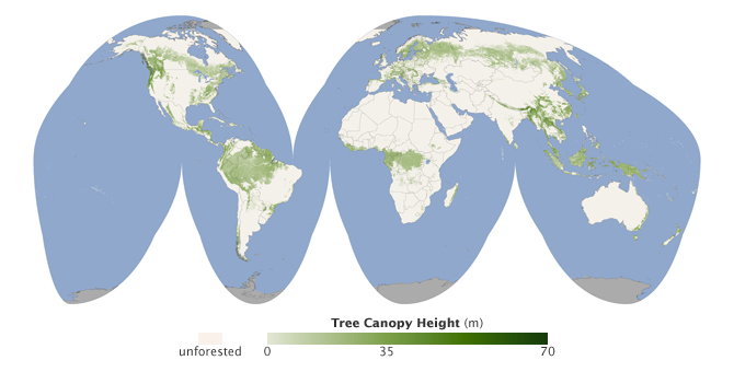 Carte mondiale de la hauteur des arbres