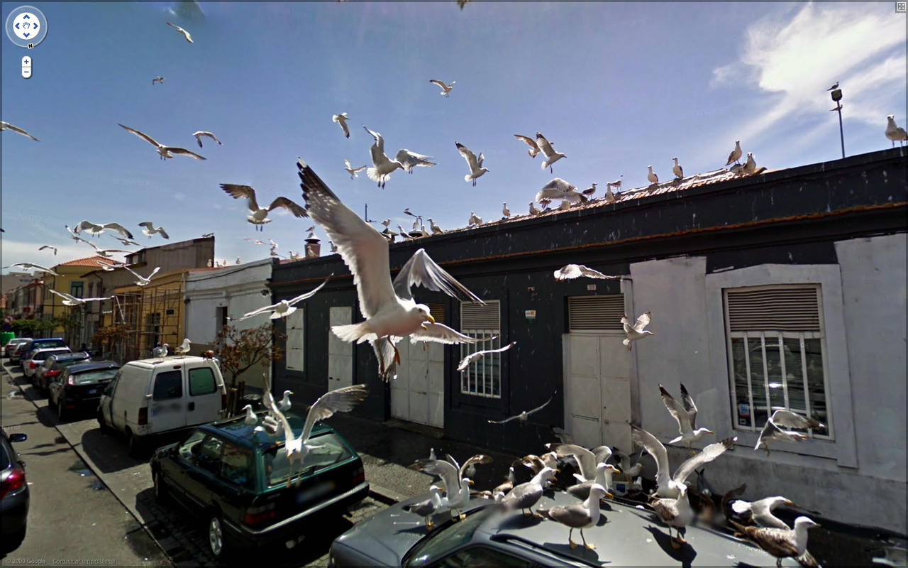 Le meilleur de Google Street View