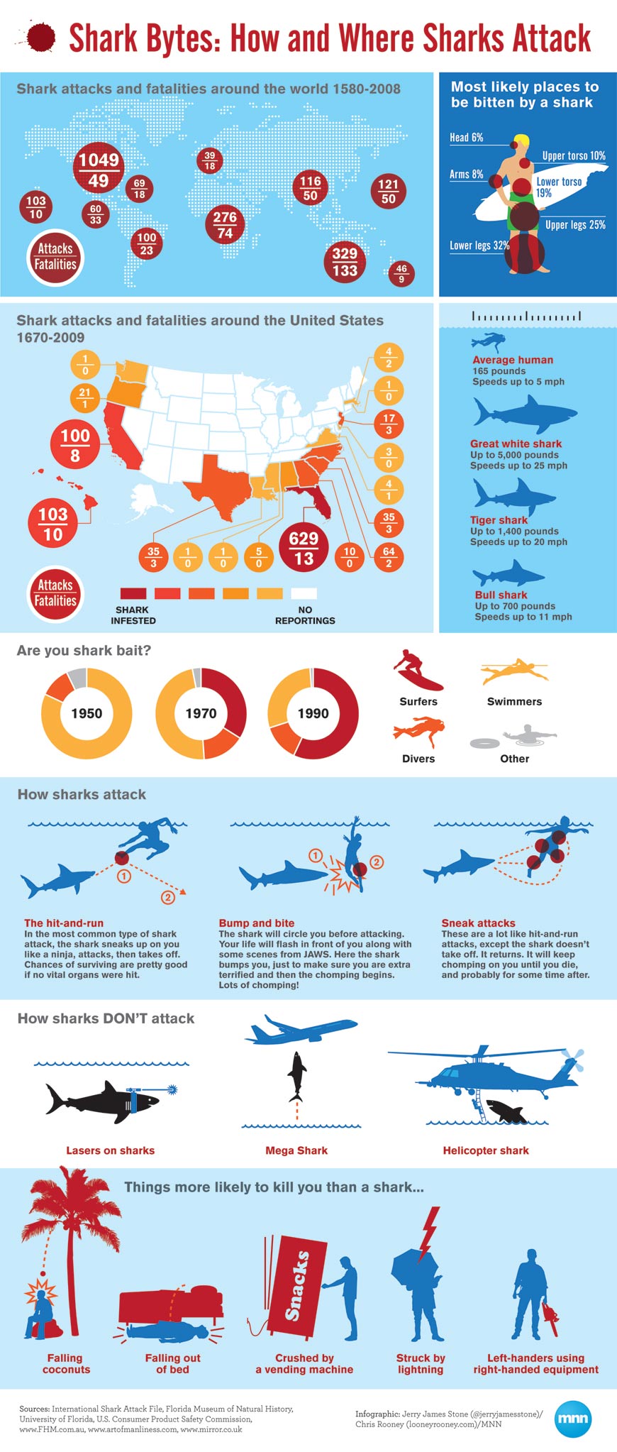 Tout savoir sur les requins