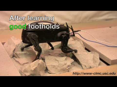 Boston Dynamics montre son robot LittleDog