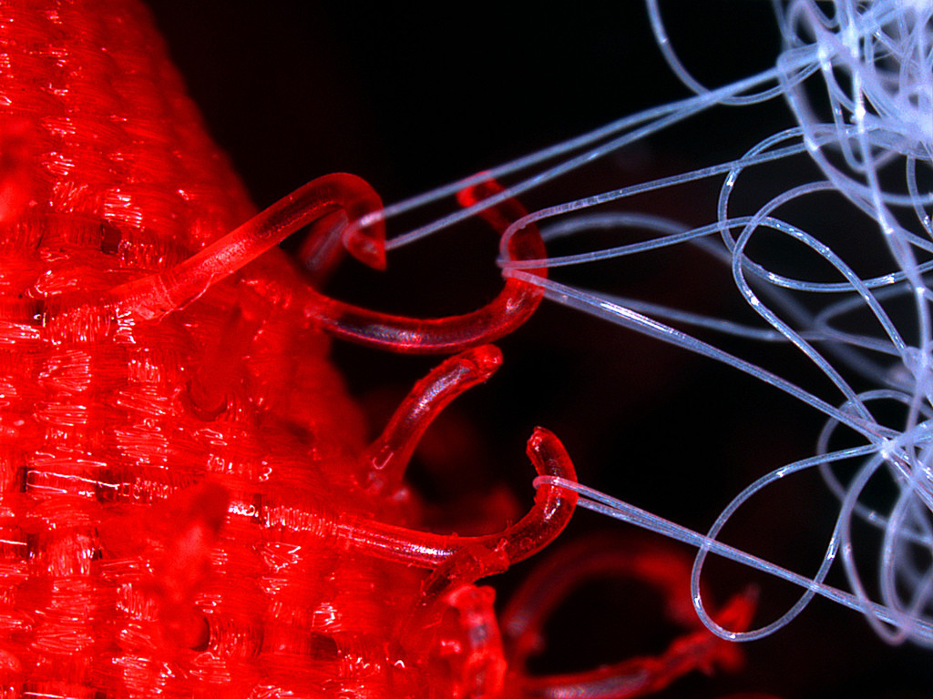 Macro de Velcro