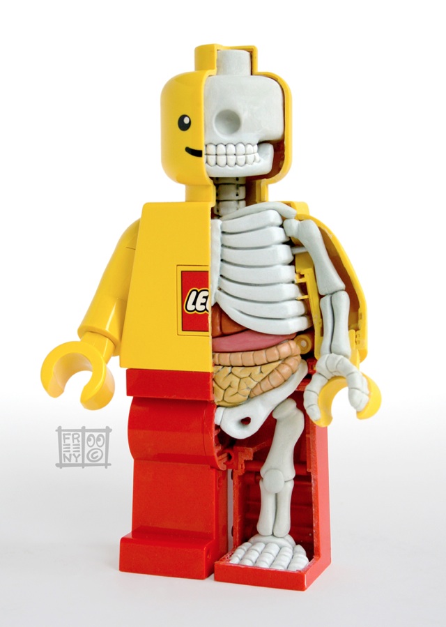 Anatomie et squelette d’un Lego