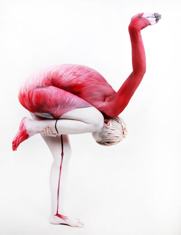 Flamand Rose Humain