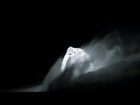 Du Snowboard habillé en LED