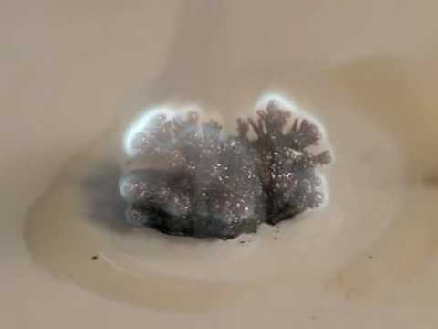 Combustion du lithium au ralenti