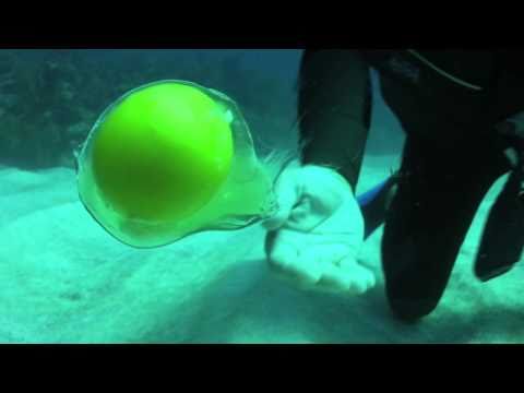 Ouvrir un oeuf 20m sous l’eau