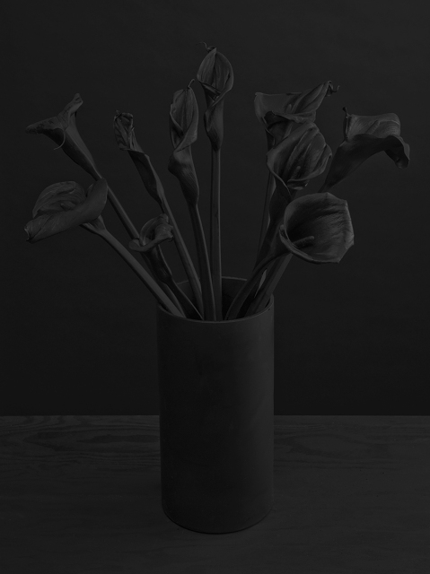 Des fleurs en noir sur fond noir pour des photos sombres