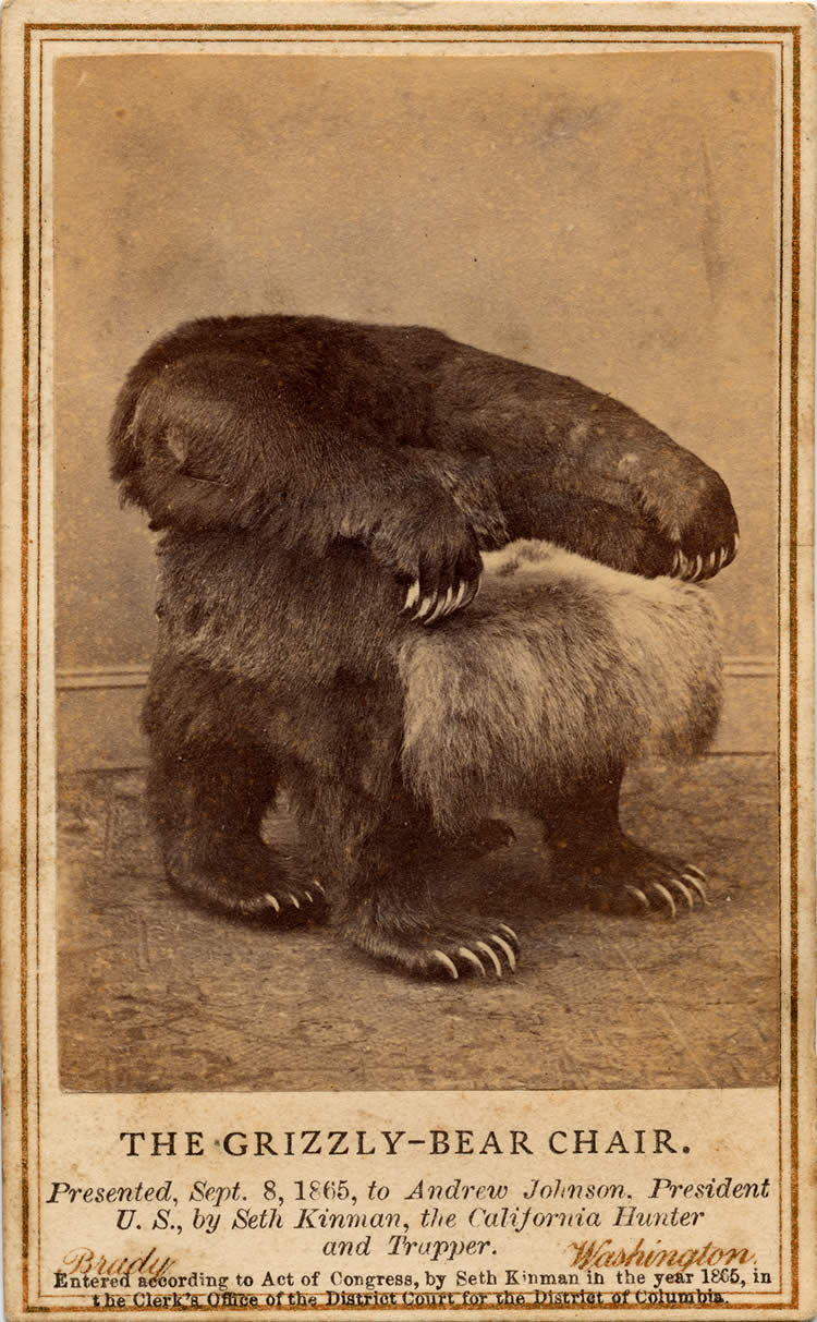 [Mystère #30] Fauteuil en peau d&rsquo;ours offert à Andrew Johnson