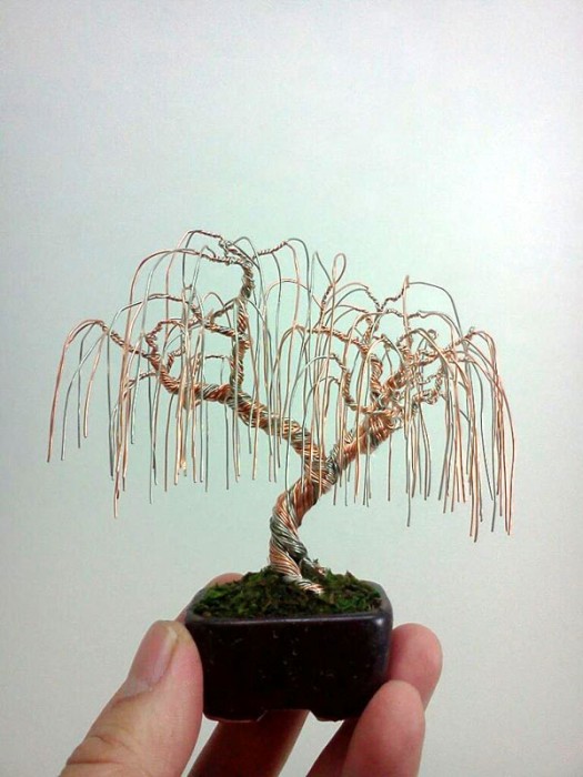 bonzai-fil-de-fr-er-05