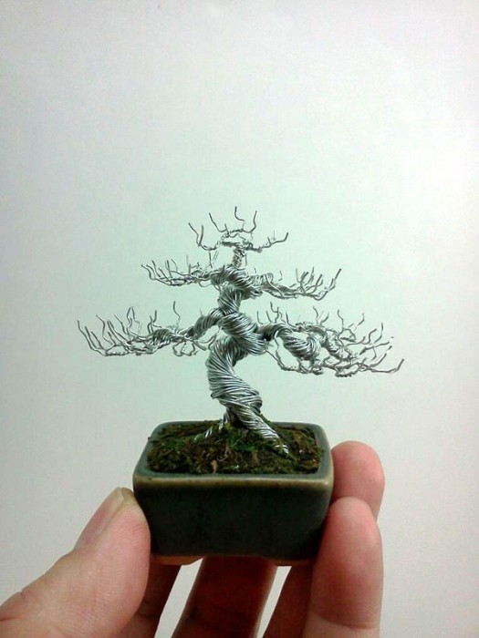 bonzai-fil-de-fr-er-07
