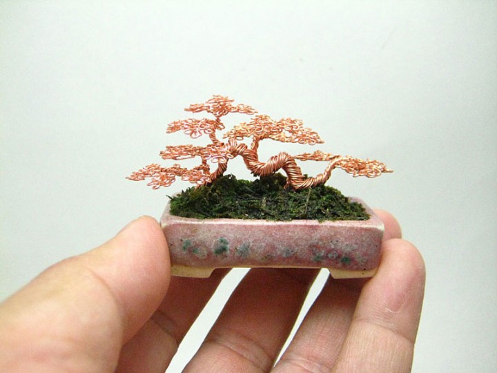 bonzai-fil-de-fr-er-09