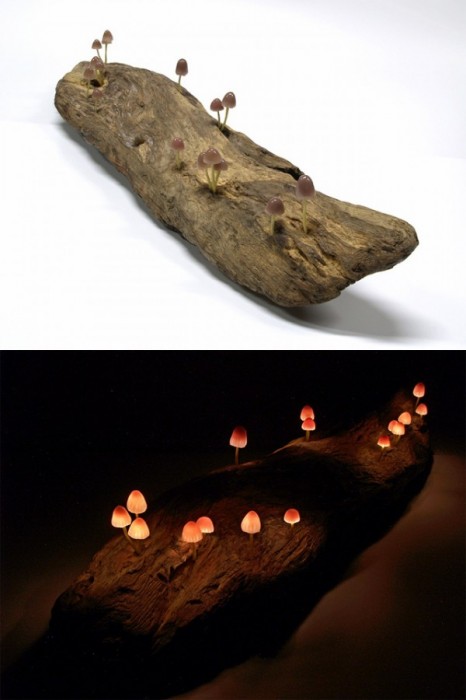 lampe-champignon-led-05