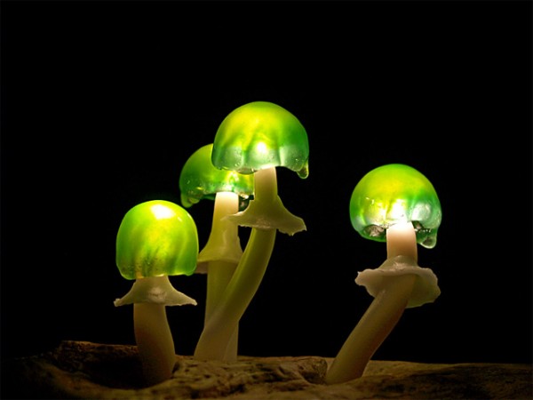lampe-champignon-led-08
