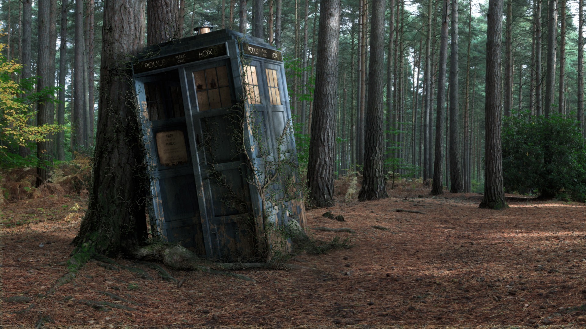 Un Tardis abandonné en foret