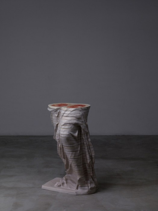 tranche-sculpture-anatomique-04