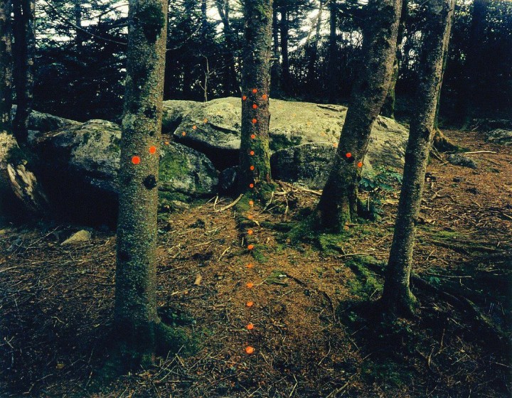 John-pfahl-03