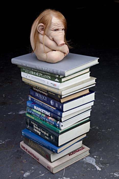 monstres-Patricia-Piccinini-06