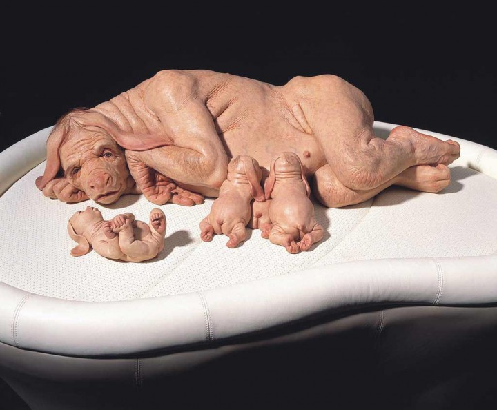 monstres-Patricia-Piccinini-07