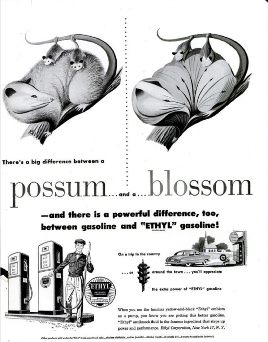publicite-petrole-Ethyl-essence-1950-12