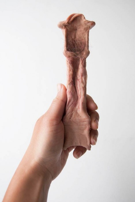 petite-fourniture-humaine-03