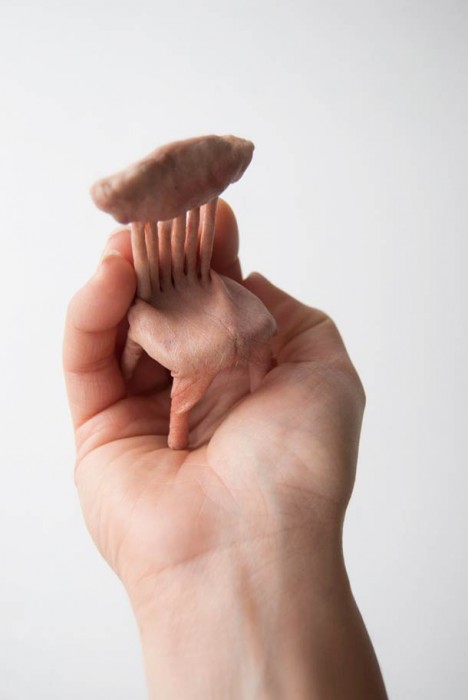 petite-fourniture-humaine-05