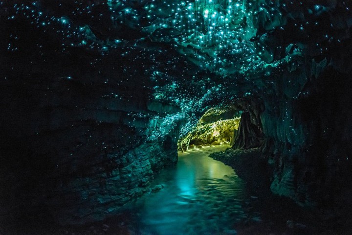 Des grottes de vers bioluminescents en Nouvelle-Zélande