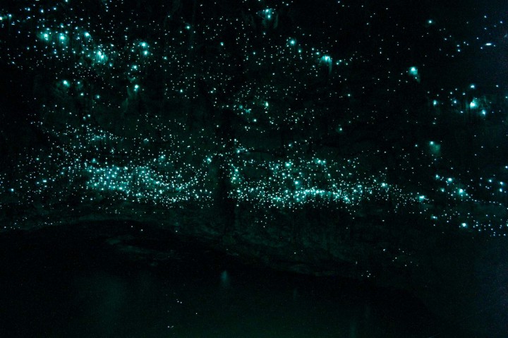 Waitomo-grotte-ver-lumineu-02