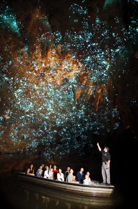 Waitomo-grotte-ver-lumineu-04