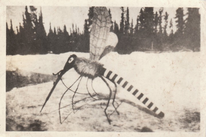 L&rsquo;attaque du moustique géant