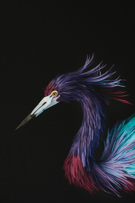 Des oiseaux en papier