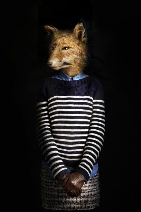 animaux-habilles-05
