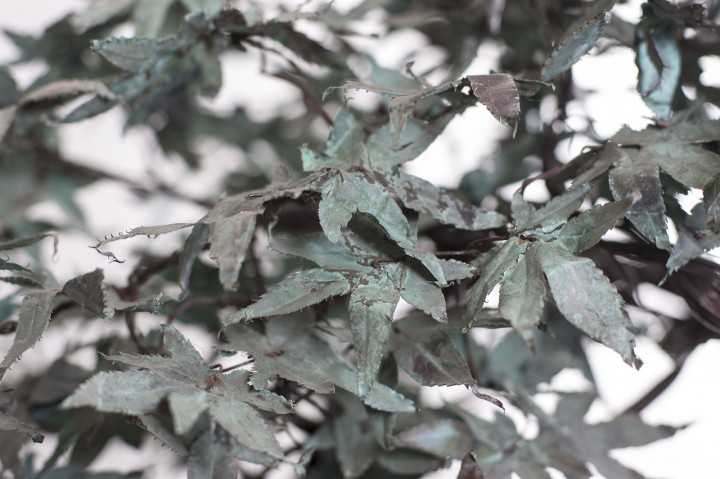 bonzai-metal-03