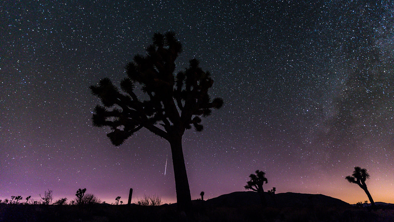 Les perséides vues du Parc national de Joshua Tree