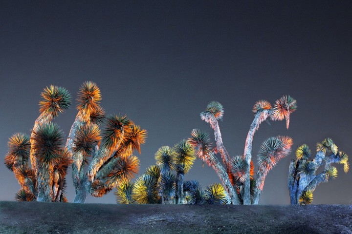 semeniako-paysage-light-painting-03