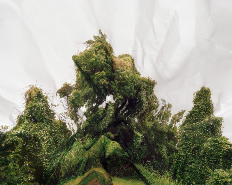 photo-arbre-froisse-03