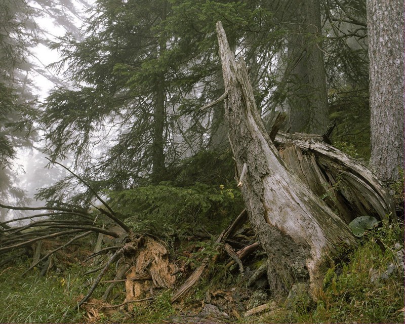 Des snipers camouflés dans le paysage