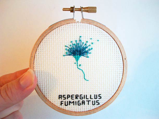broderie-microbe-virus-10