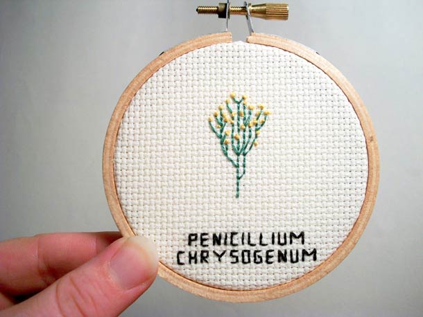 broderie-microbe-virus-11