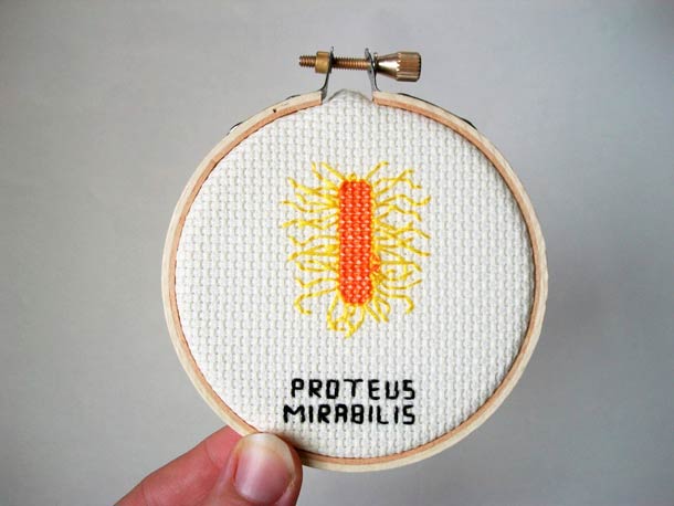 broderie-microbe-virus-16