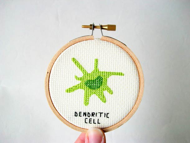 broderie-microbe-virus-20